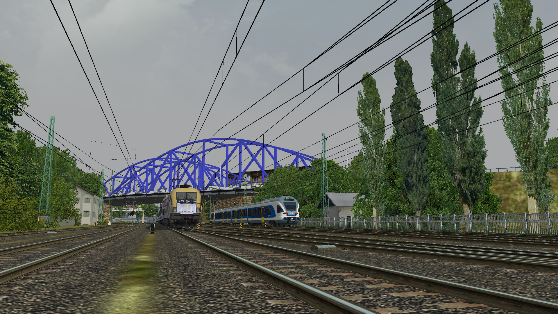 Aranycsapatos Taurus 